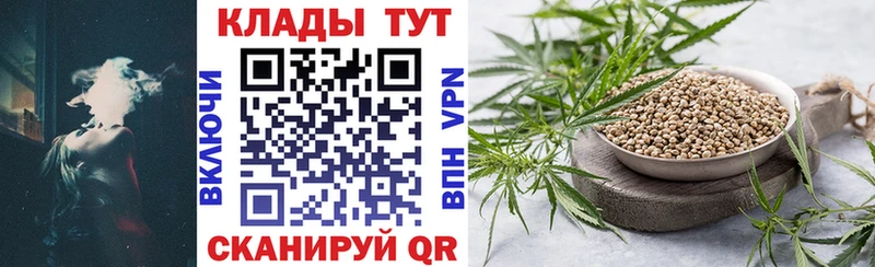 Продажа наркотиков Нальчик КОКАИН  Мефедрон  АМФЕТАМИН  Бошки Шишки  ГАШ  Codein  Alpha-PVP 