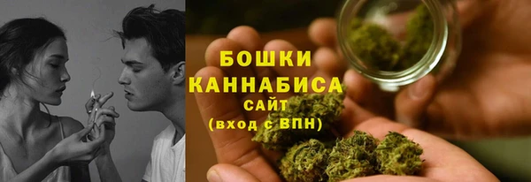 apvp Горняк