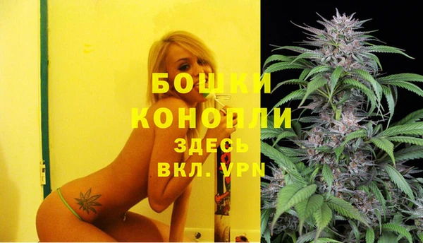 apvp Горняк