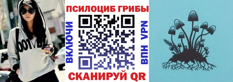 где найти   Нальчик  Псилоцибиновые грибы мицелий 